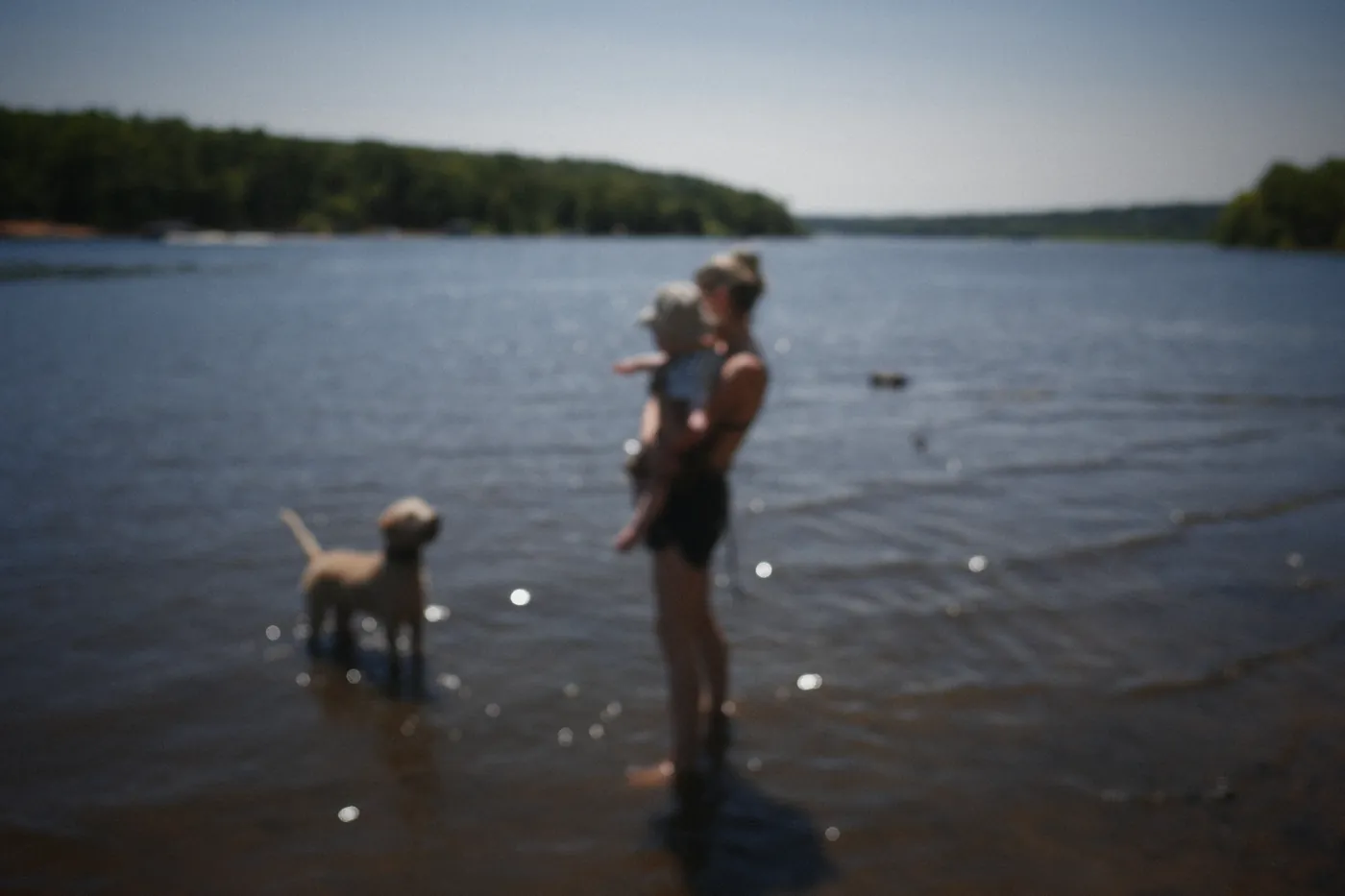 Down at the lake, the dog leading the way