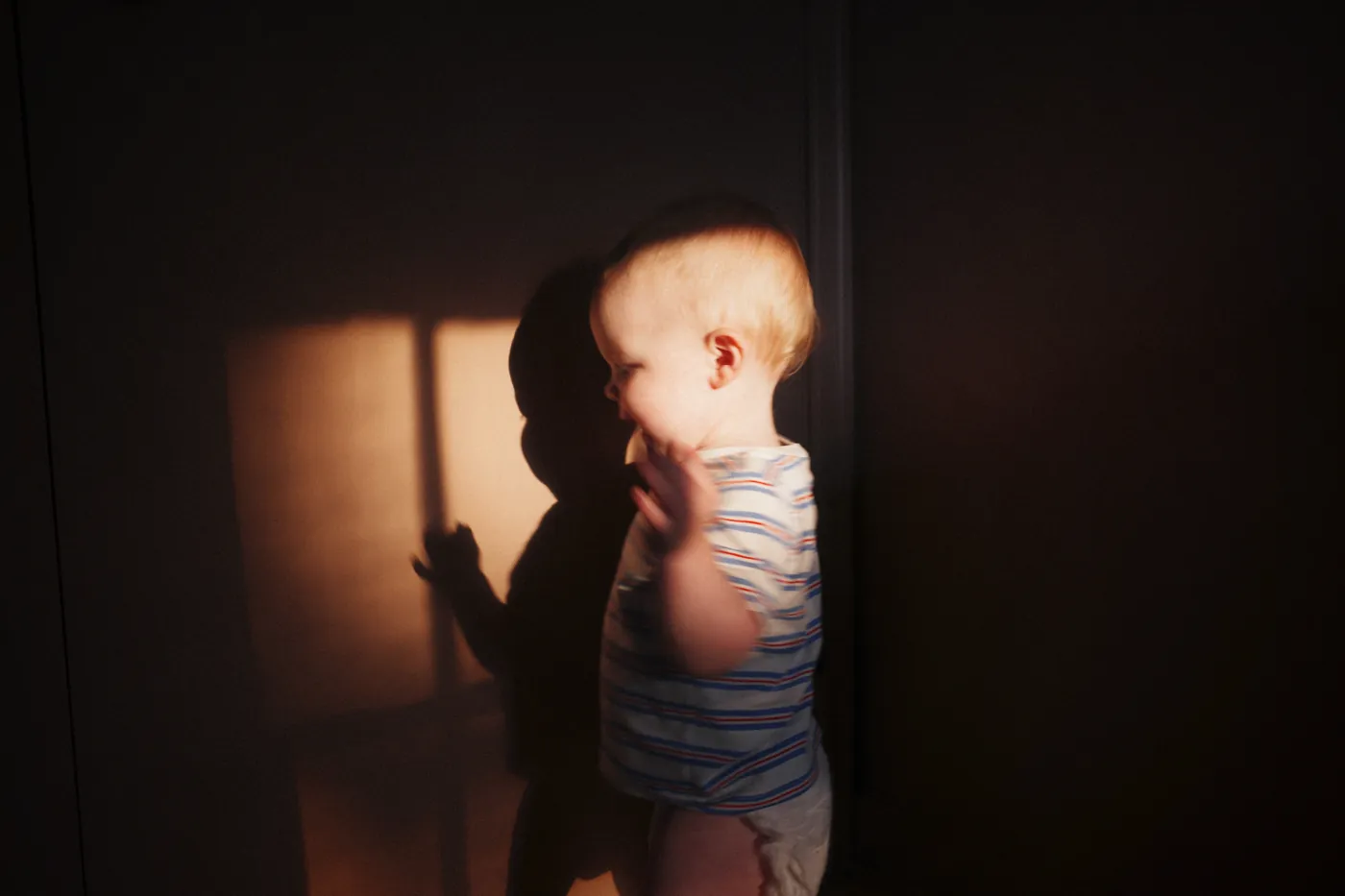 Morning light, new shadow puppet